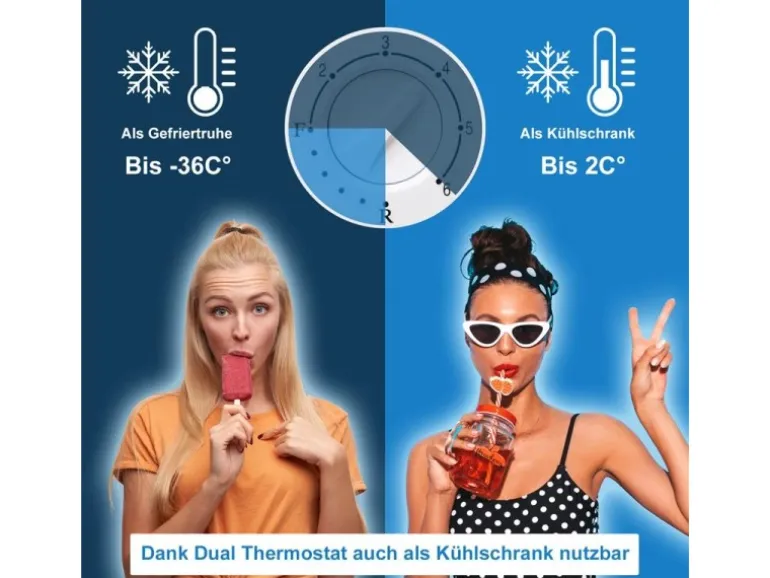 Tronitechnik Gefriertruhe Kühltruhe Borgar Pro Mit 2In1 Gefrier- Und Kühlfunktion | 110 Liter 169Kwh/Jahr | Led-Licht