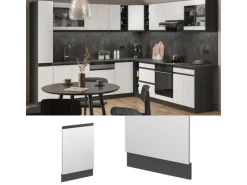 Vicco Frontblende R-Line Geschirrspüler Fronttür Weiß/Anthrazit 45 cm AP Anthrazit