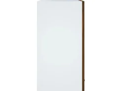 vidaXL Hängeschrank Glas Räuchereiche 60x31x60 cm Holzwerkstoff
