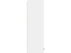 vidaXL Hängeschrank mit Tür Riga Weiß 30 x 31 x 100 cm Holzwerkstoff 884330
