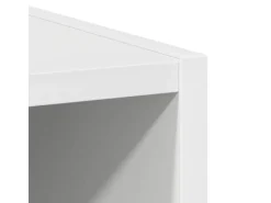 vidaXL Hängeschrank Riga Weiß 20 x 29,5 x 100 cm Holzwerkstoff 884450