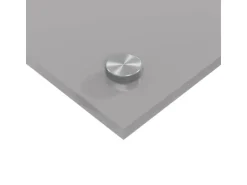 vidaXL Küchenrückwand Hellgrau 100 x 50 x 0,6 cm Gehärtetes Glas 42001236