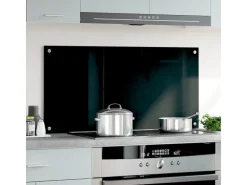 vidaXL Küchenrückwand Schwarz 100x50 cm Hartglas 249491