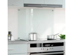 vidaXL Küchenrückwand Transparent 80x60 cm Hartglas 249471