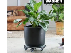Wagner design Pflanzenroller GH 7017 Ø 38 cm x 8 cm Schwarz-Weiß