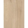 Wandabschlussleiste Plus 59 cm x 3 cm Lago Eiche Hell (EIL320 SI)